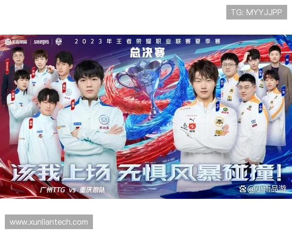 Fly王者荣耀赛场无双风采见证巅峰操作与团队精神